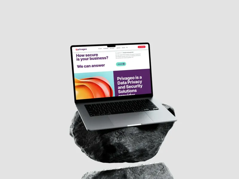 Privageo website homepage showing bold Demystify Privacy and Security headline with connected network illustration