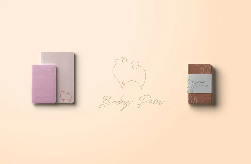 Branding portfolio work by DMS