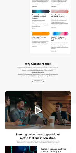 Pegria cybersecurity company website designed by DMS with solutions grid, video demo, and enterprise client testimonials