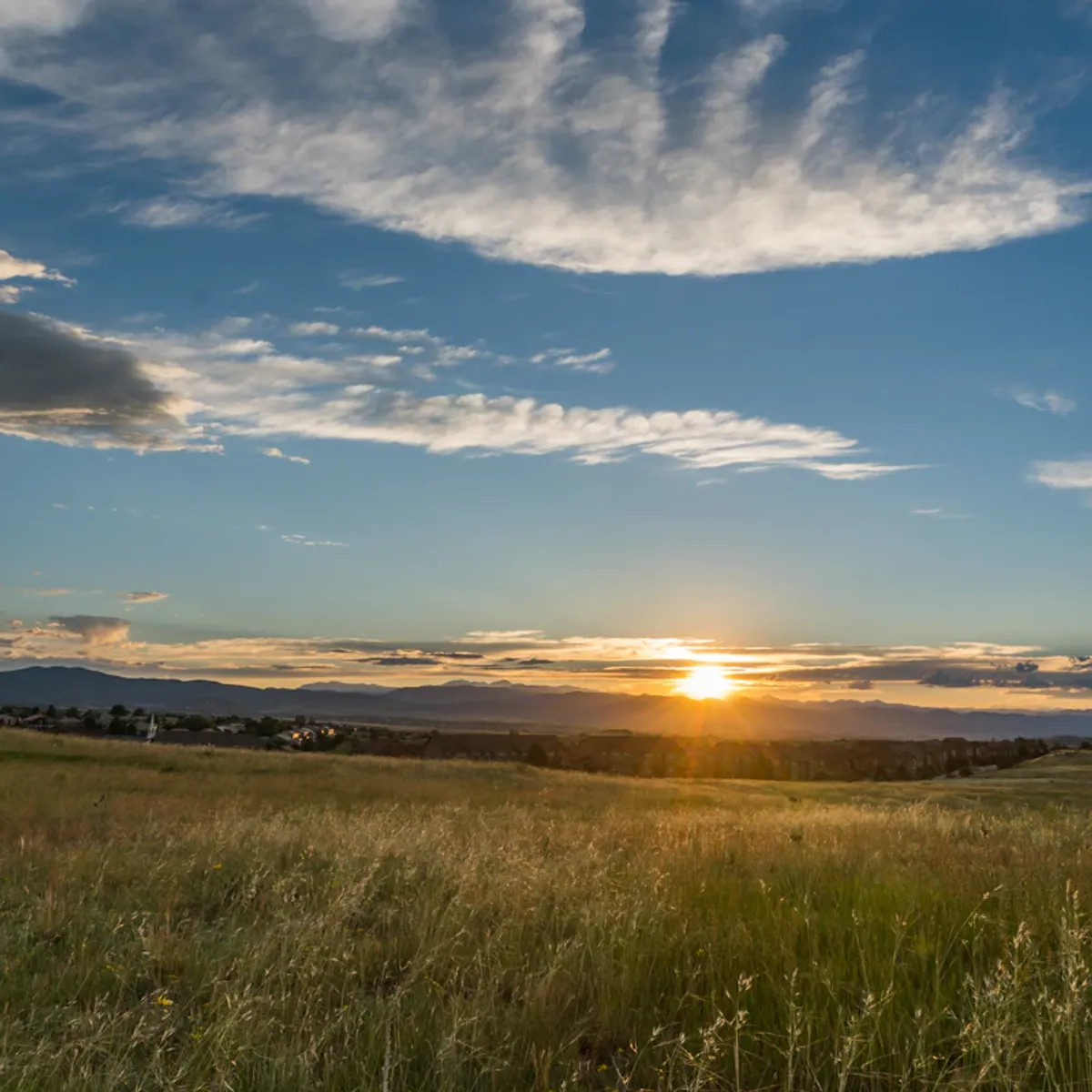 Digital marketing expertise in Castle Rock