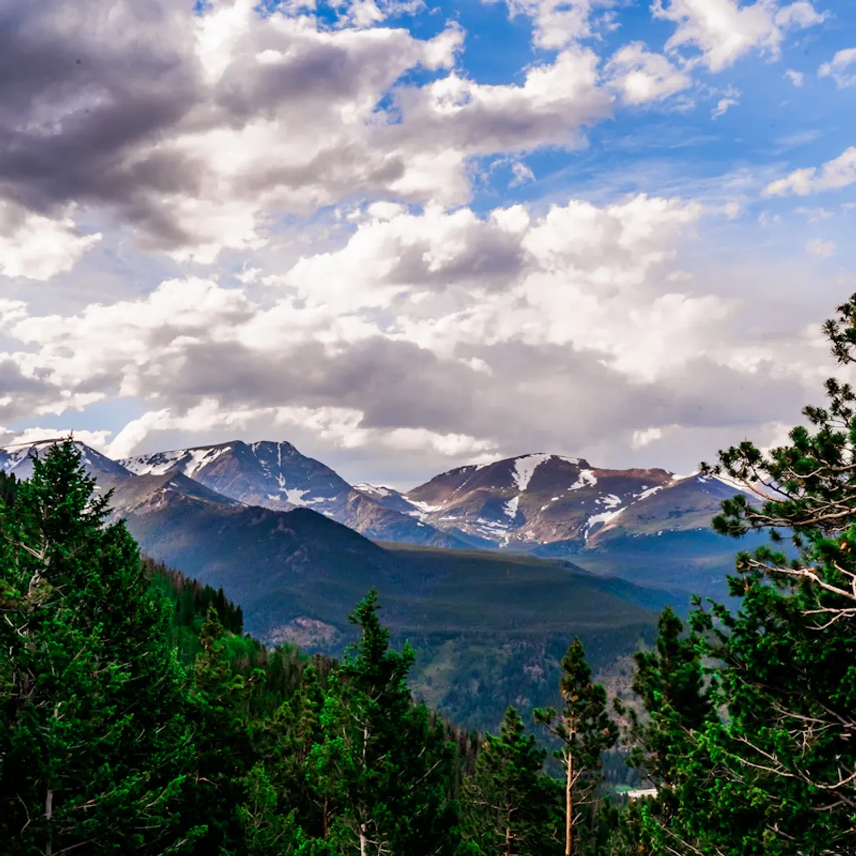 Digital marketing expertise in Centennial