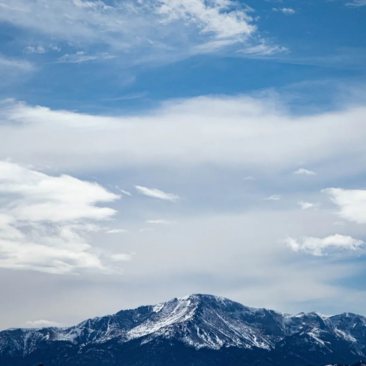 Digital marketing expertise in Parker