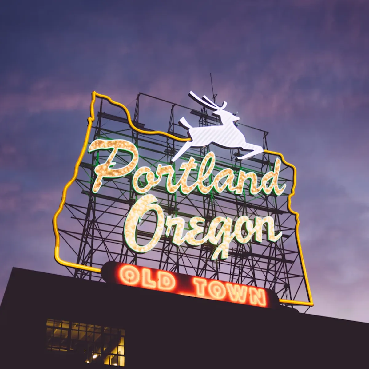 Digital marketing expertise in Portland