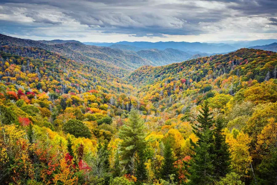 Tennessee is not one market. It is three. Nashville, East Tennessee, and Memphis each have distinct economies, search patterns, and digital competition levels. Here is how to market your business in the region that matters to you.