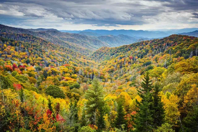 Tennessee Digital Marketing: A Three-Region Guide for Small Businesses