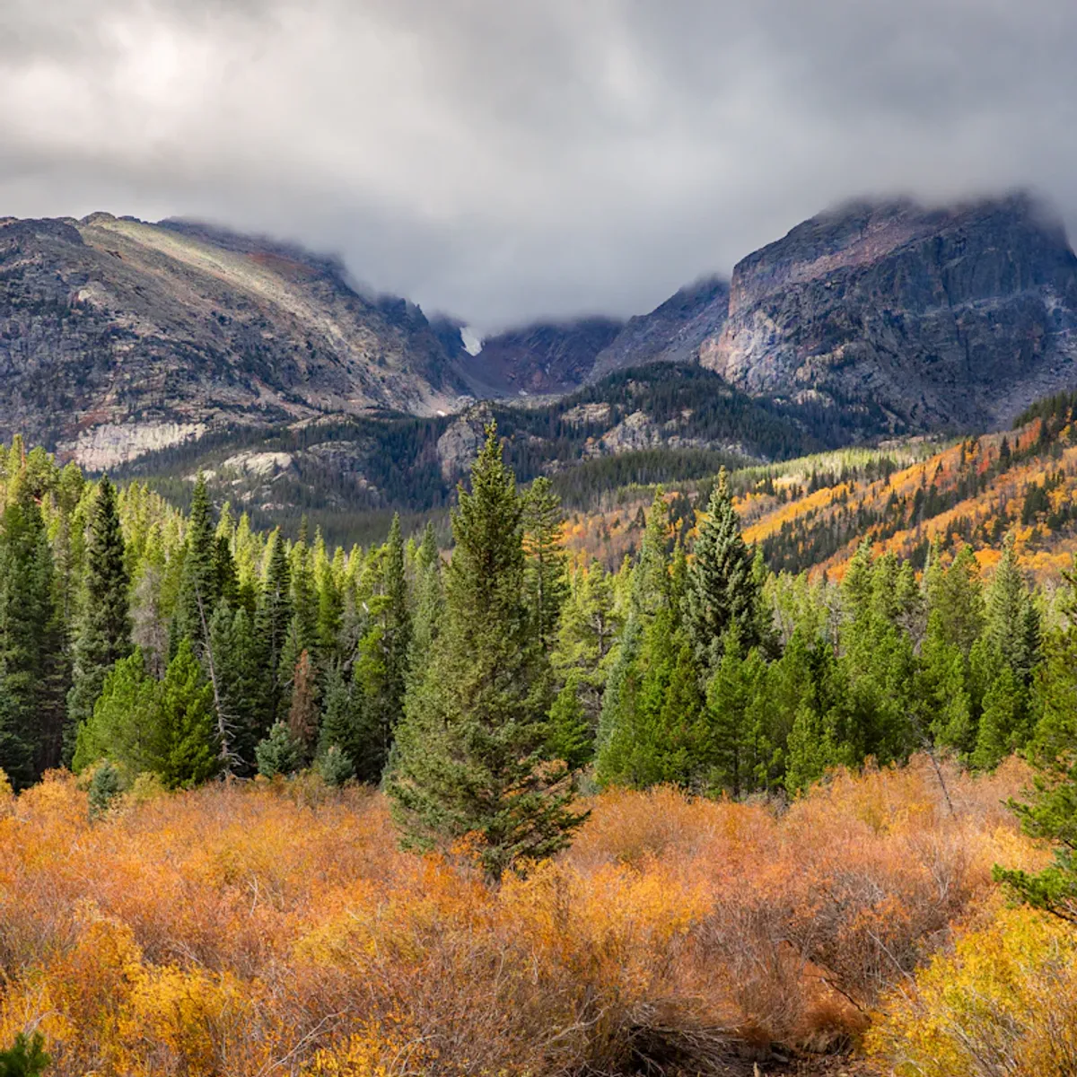 Digital marketing expertise in Thornton