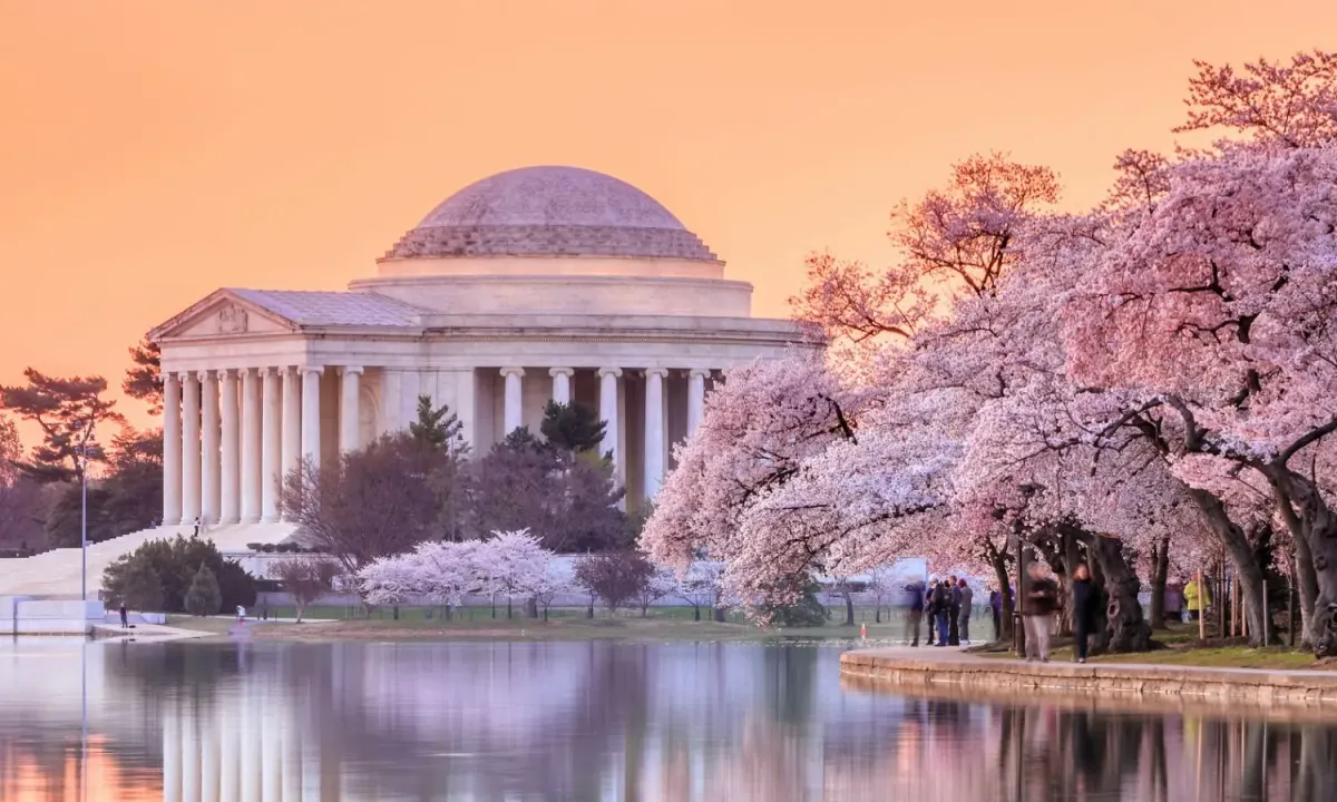 Digital marketing expertise in Washington, D.C.
